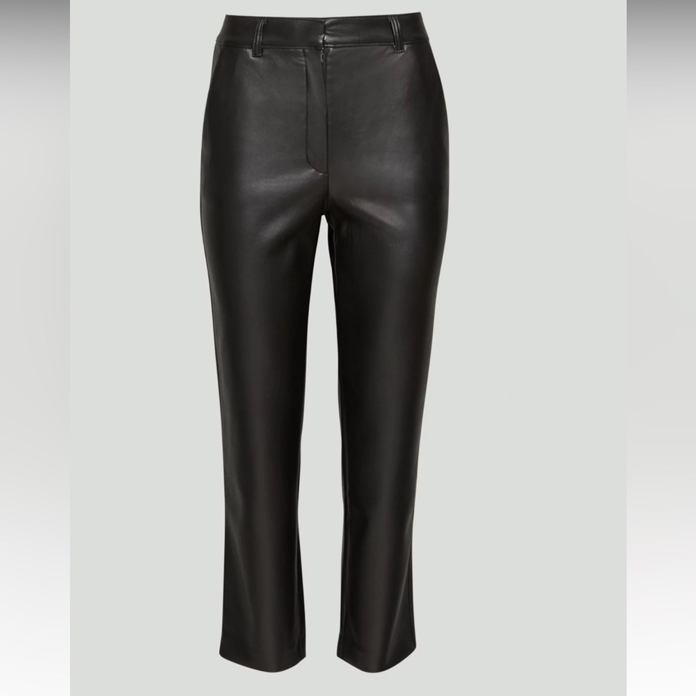 Aritzia Babaton Command Leather Pant